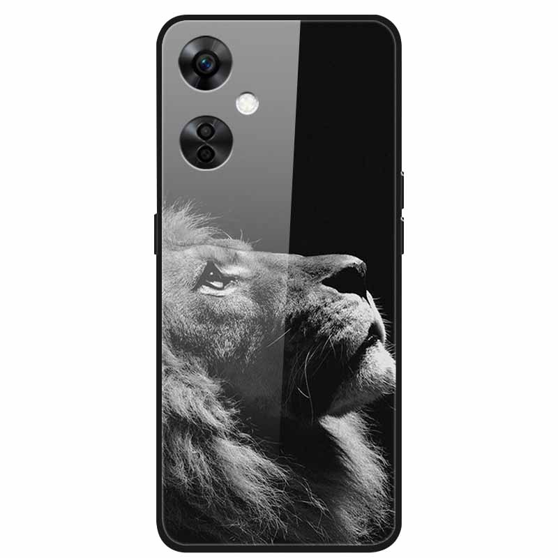 For One Plus Nord CE 3 Lite 5G Case N30 Tempered Glass Hard Back Cover for Oneplus Nord CE3 Lite N 30 Cases Bumper 3lite CE3Lite
