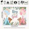 2D Boy or Girl Gender Reveal Backdrop Teddy Bear Photography Background Banner