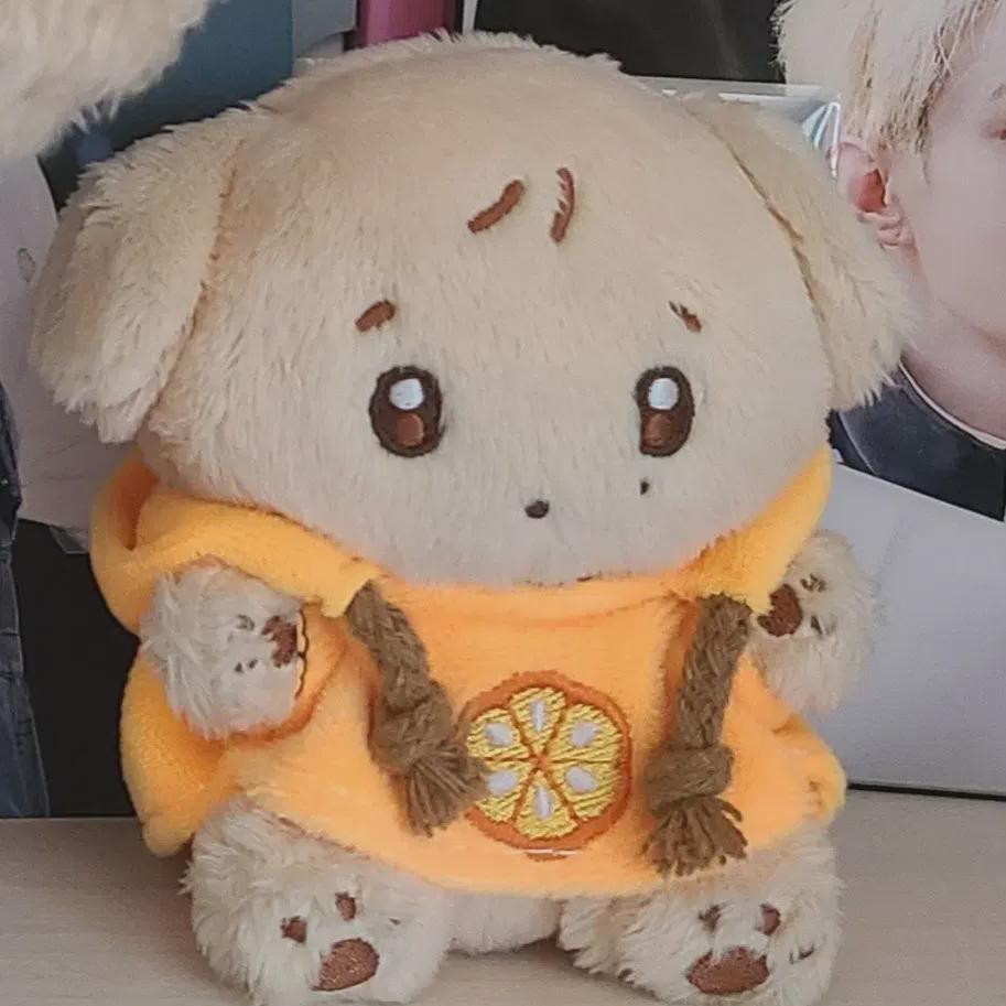 

Seventeen Кукла Dk Gyoumpoo