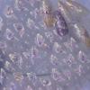 Jelly Nail Stickers Shiny Charming Butterfly Self Adhesive Nail Art Stickers Ribbon Butterfly Nails 3D Decorations Stickers DIY