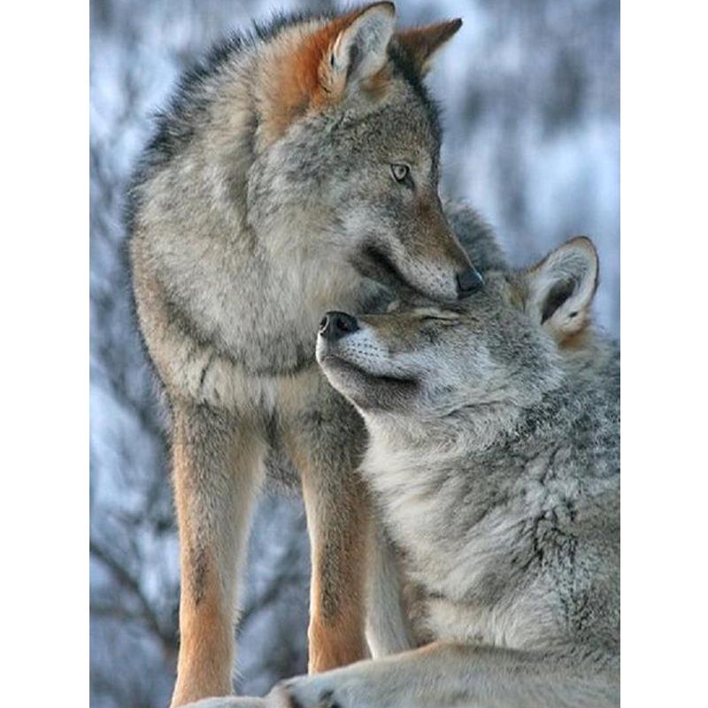 

Wolf Icefield Wolf Fashion Diamants Набор для рисования 30x30CM Картина 25x20CM разноцветный