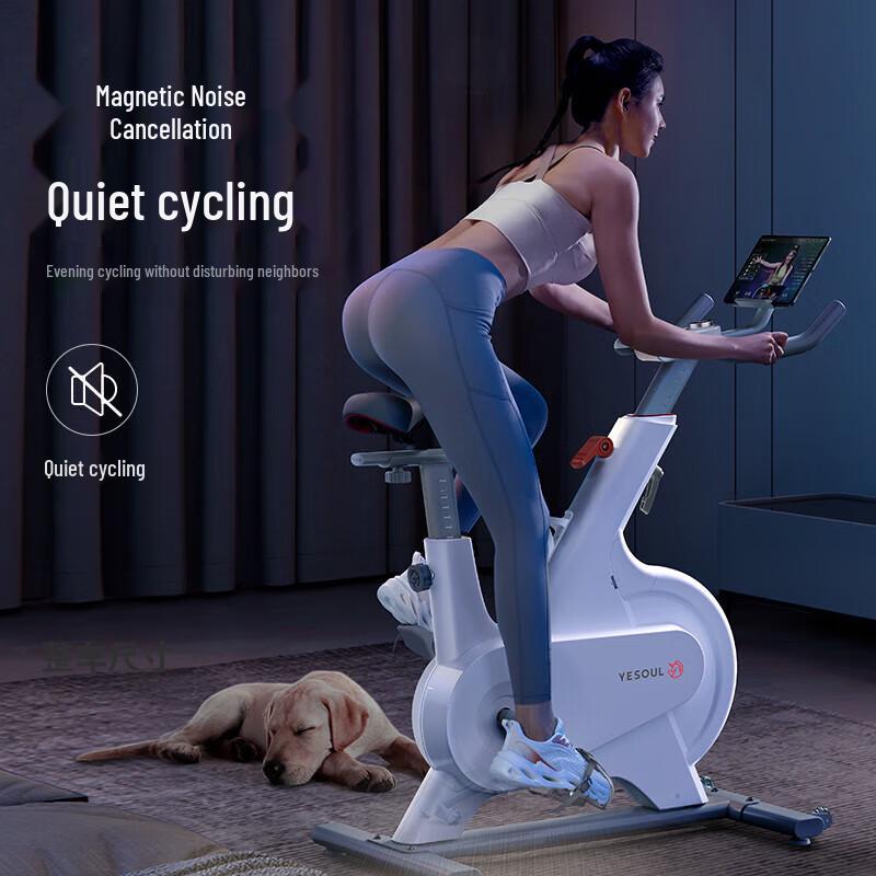 YESOUL M1 Magnetic Exercise Bike