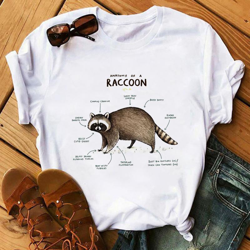 Harajuku Kawaii Tshirt Anatomia Da Raposa Gato Grfico Tees Das Mulheres Tops Esttica T Shirt Tripulao Pescoo Roupas De Vero Para As Mulheres