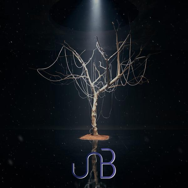 

CD UNB - Boyhood: 1st Mini Album INT0142 The Happy Peopl 2018 South Kore Pop Used