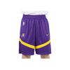 Nike Los Angeles Lakers Dri-FIT NBA Color Block Logo Training Straight Leg Basketball Pants Men bottoms Deep-Purple DZ3722-504