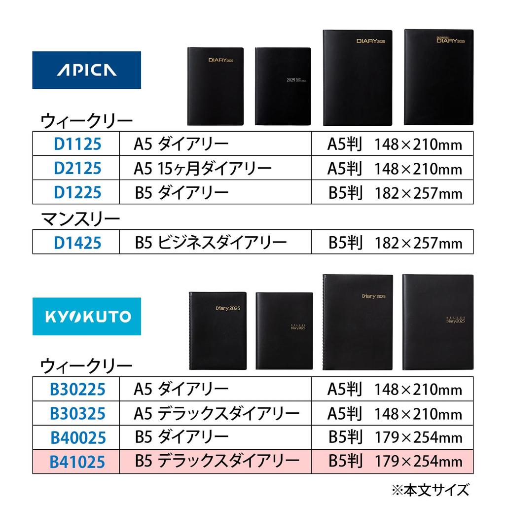 Kyokuto 2025 Planner, January Start, 15 Months, B5, Black, B41025