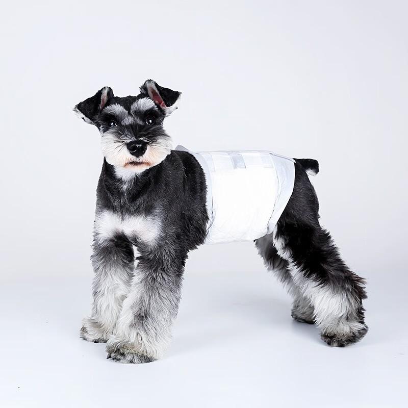 Disposable Male Dog Diapers for Teddy, Bichon Frise, and More - Pet Sanitary Underwear