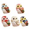 Elegant Metal Jewelry Storage Case Owl Shape Jewelry Displaying Organizers Suitable for Earrings Necklaces Rings