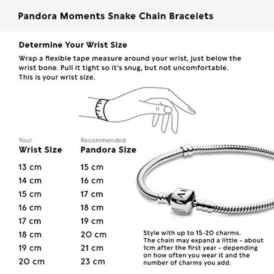 Pandora Jewelry Iconic Moments Snake Chain Charm Sterling Silver Bracelet