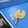 Victas Table Tennis Offensive Shakehand Gladius 310504 Racket, Type, AR, Flare,