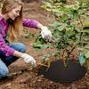 15 Stück Vlies Baumabdeckring Baumschutzmatte, Baumgrasmatte, Baumgrasschutzbarriere-Matte, Kreisförmige Stoff-Baumunkrautbekämpfungsbarriere