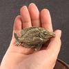 Animal Statues Figurines Retro Fish Statue Figurines Sculptures Tabletop Centerpieces Home Decors Collectibles Figurines