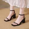 Open-toe Sandals Women 2026 Summer New Buckle Fashion Solid Color Female Shoes Temperament Chunky High Heel