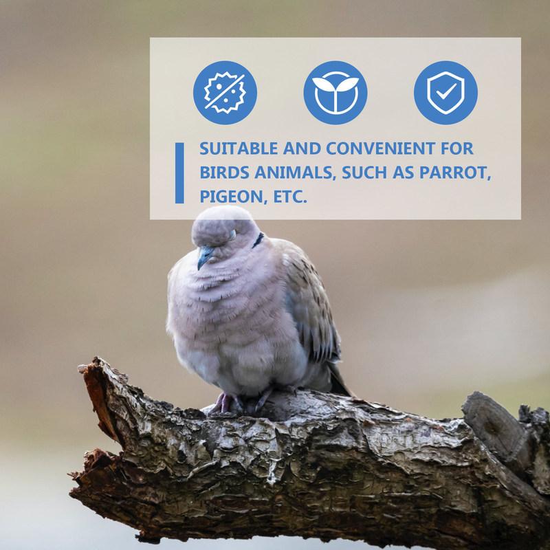 6.5L Auto Drink Dispenser for Birds Heavy Duty Water Feeder Suitable Parrot Pigeon Cage Outdoor Indoor Cleaning Convenient White