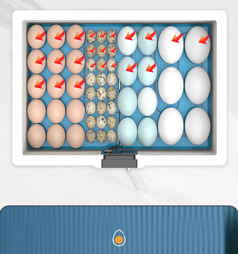 Smart Automatic Incubator for Quail, Duck, and Goose Eggs - Compact and Intelligent Hatching Machine for Home Use