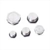 Lilang SS304 Hexagonal Solid Threaded Plug, M20x1.5