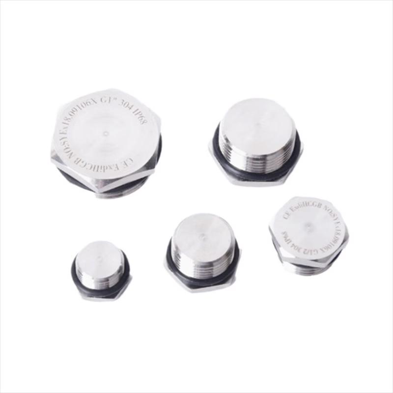 Lilang SS304 Hexagonal Solid Threaded Plug, M20x1.5