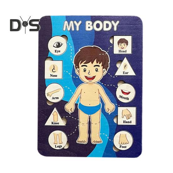 

Детская игра-головоломка «Тело человека» Обучающая игра «Структура человеческого тела» Дошкольное обучение Деревянный пазл Анатомия для малышей Головоломка «Части тела мальчика» Игрушка STEM Boy A