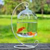 Hydroponics Hanging Mini Fish Tank With Stand Vase Fish Tank Transparent Glass