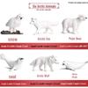 Cross-border Wild Animal Model: Prairie, Brown, Snow, Predator Wolves & Cub Educational Display Toy