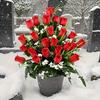 24 Artificial Cemetery Commemorative Roses Plastic Outdoor Cemetery Mourning Gifts Holiday Decoration Suitable Thanksgiving