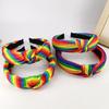 Colorful Rainbow Striped Hair Hoop Elegant Pride Day Rainbow Striped Headband Durable Soft Festive Party Hair Accessories