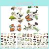 25 Piece Realistic Insect Life Cycle Card Set With Detailed Pvc Models For Kids Learning