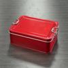 Pineapple Pastry Smooth Food-Grade Tinplate Box - Ideal for Cookies, Wedding Favors, Metal Storage or Candy.