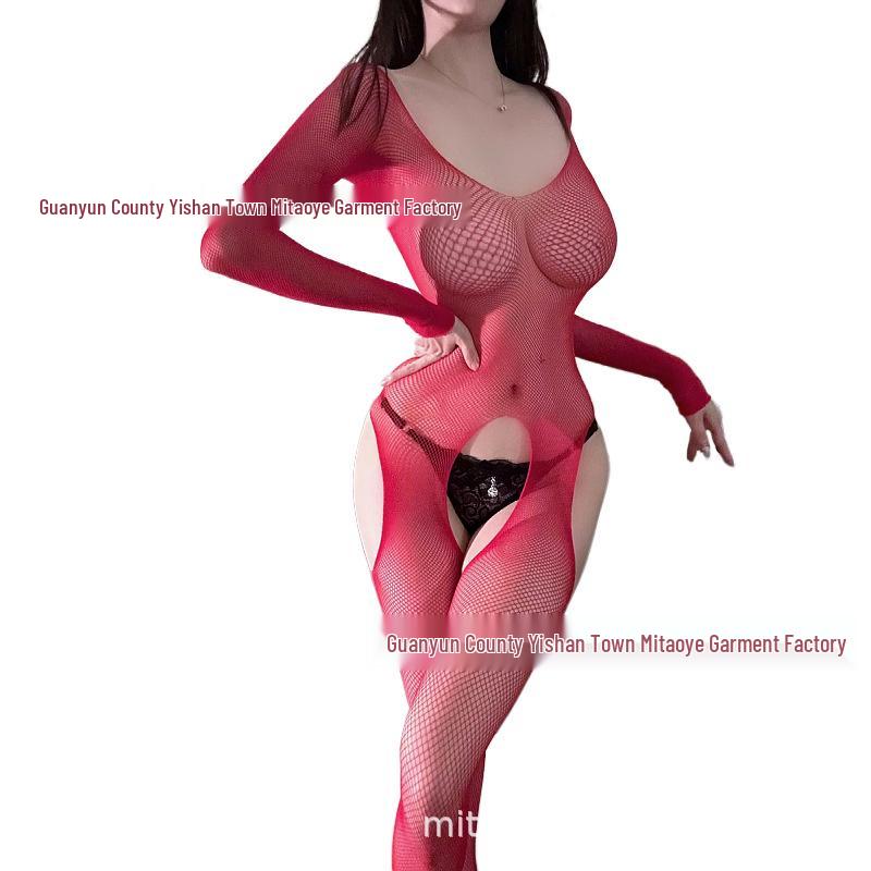Alluring Four-Sided Open Crotch Mesh Bodysuit with Long Sleeves
