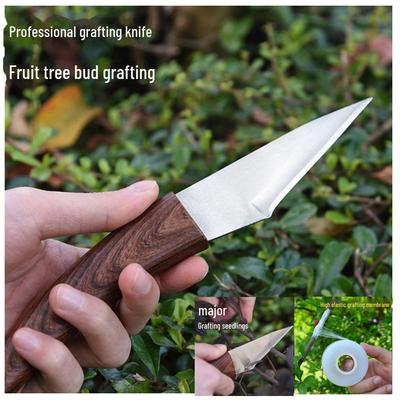 Professional Stainless Steel Bud Grafting Knife and Film for Fruit Tree and Plant Pruning