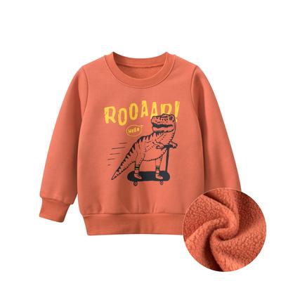 Felpa in Pile per Bambini e Bambini Piccoli Felpa Girocollo Senza Cappuccio con Dinosauro Cartone Animato per Bambini Maglia Pullover a Maniche Lunghe