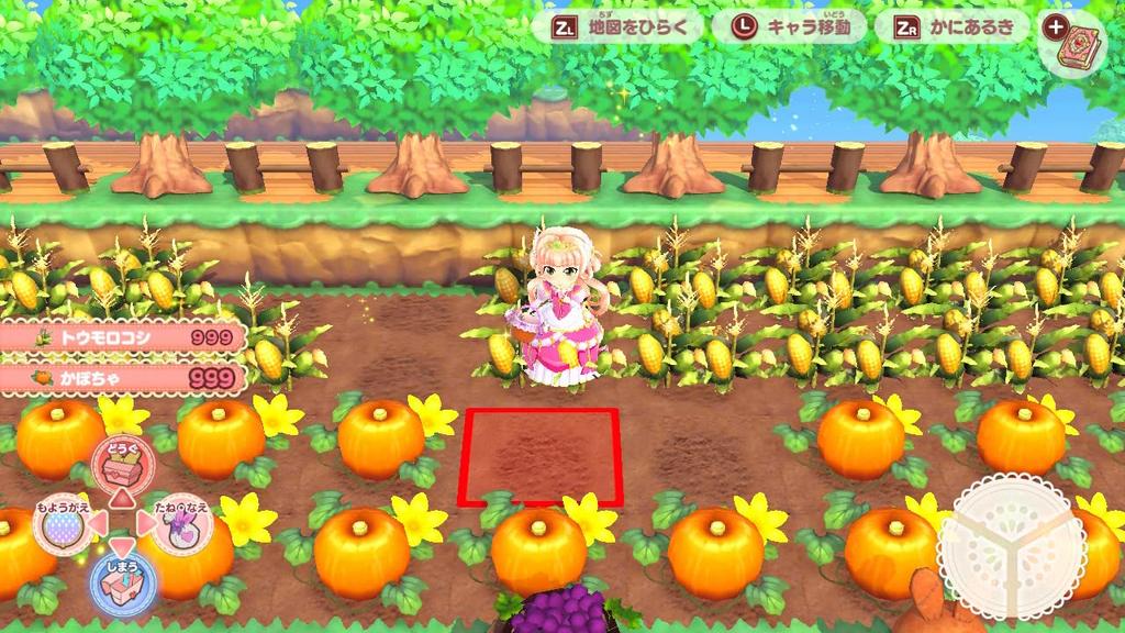 Pretty Princess Magical Garden Island -Switch