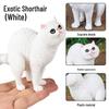 Realistic Exotic Orange Tabby Cat Heart Model Ornament