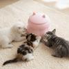 Silicone Kitten Nipple Feeder Bionic Nipple Dog Drinking Bottle  Animal Drinking Tool