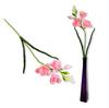 Tak - Schuimfreesia, lichtroze, 59 cm
