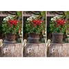 Plant Mesh Bag Wear-Resistant Reusable Sturdy Stainless Steel Plant Root Protector Mesh
