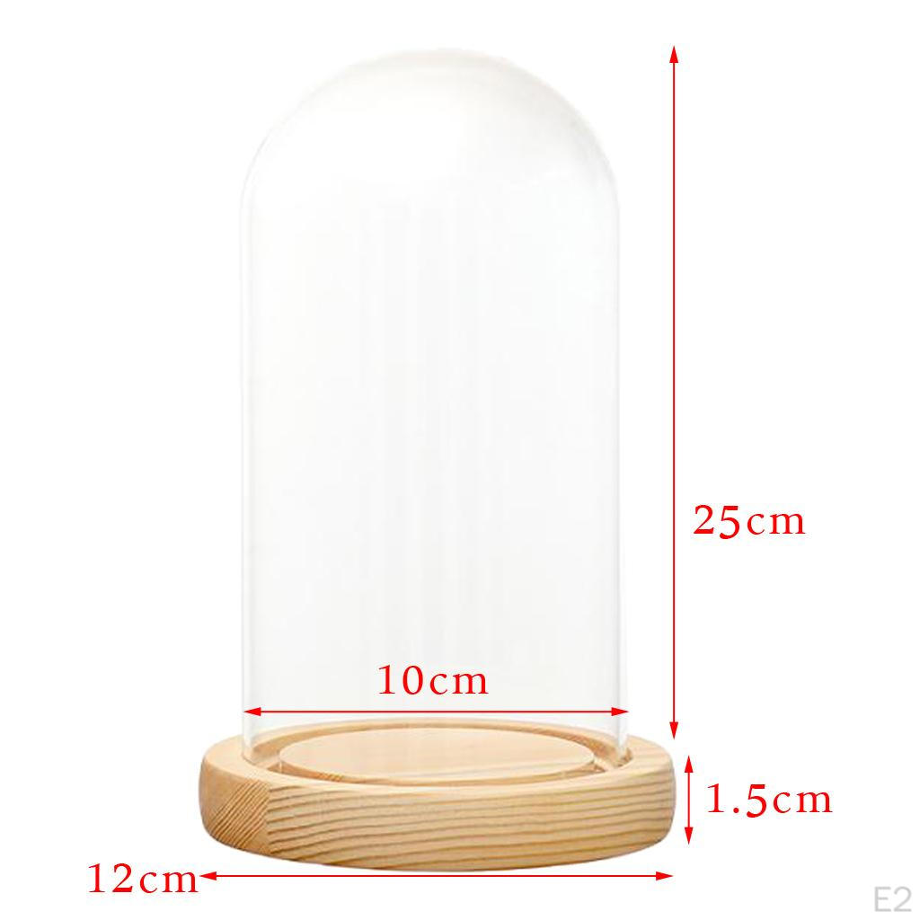 Cloche Tabletop Display Case Jar with Wooden Diy Craft Making Supplies