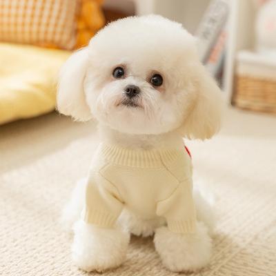 Giyim ve ayakkabı – Köpekler için kazaklar
