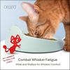 Anti Whisker Fatigue Cat Bowl Set of 2 Wide Food Bowls Wet and Dry Shallow Food Dish Small Cat Dishes for Indoor Cats Cute Kitt