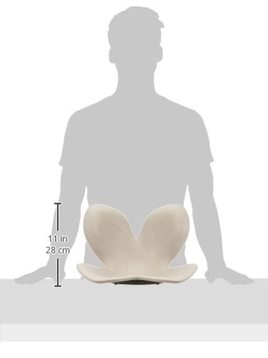 Style Standard MTG Pelvic Support Chair Hunchback holder Warm (Chair (N01), Gray)