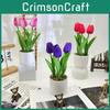 Tulip Flower Green Plant Riverstones Bonsai For Photography And Office Decor