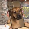 Rhodesian Ridgeback Dog Case For POCO F5 X3 X5 Pro M5s C40 F3 F4 X4 GT Xiaomi 13 Ultra 11T 12T Pro 11 12 Lite Cover
