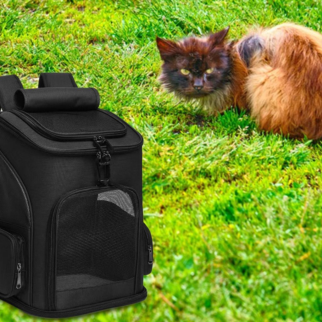 Cat Travel Carrier Portable Expandable Soft-Sided Puppy Carrier Breathable Pet Backpacks For Car Flight Vet Visit Grooming