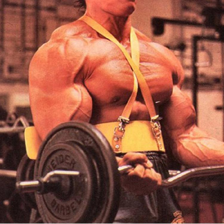 Heavy Duty Bicep Blaster for Barbell & Dumbell Curl Bicep Curl Support Isolator