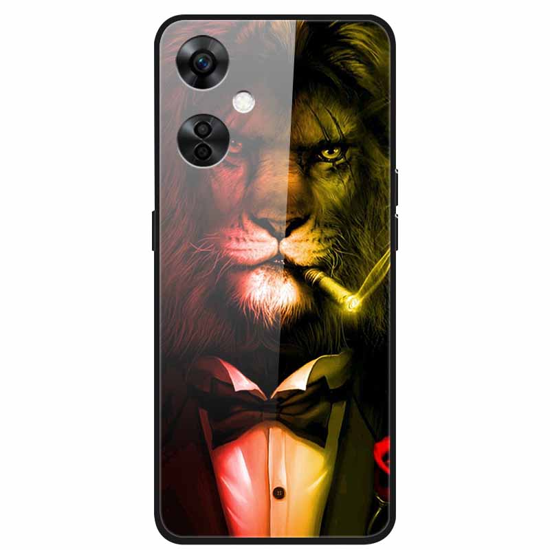 For One Plus Nord CE 3 Lite 5G Case N30 Tempered Glass Hard Back Cover for Oneplus Nord CE3 Lite N 30 Cases Bumper 3lite CE3Lite