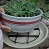 20PCS Anti Rot Root Flower Pot Tray Breathable Base Root Prevention Pad  Indoor Outdoor
