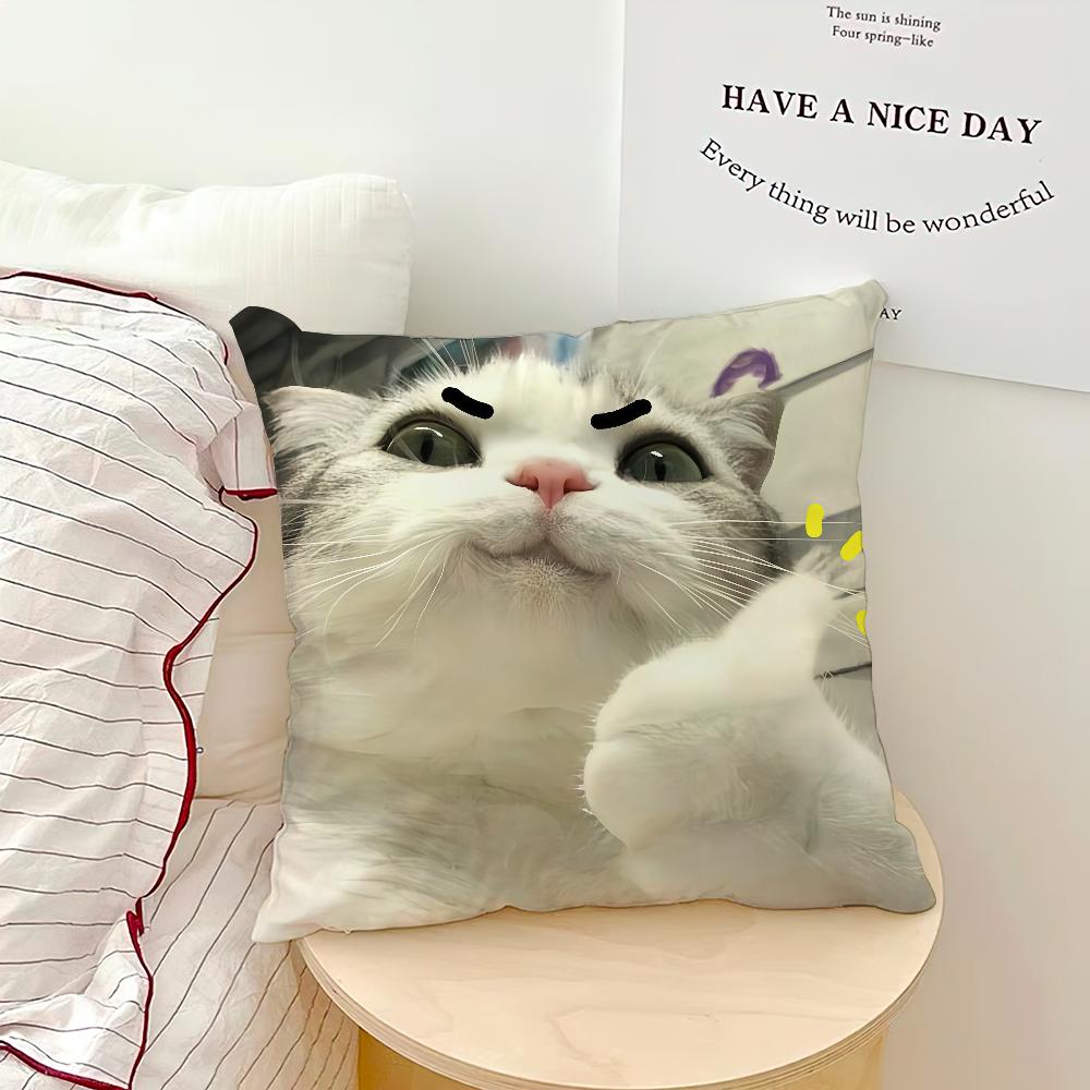 Cute Funny Cat Meme Abstract Kitten Cushion Cover Soft Pillow Case for Sofa Living Room Home Office Decor Protective Covers