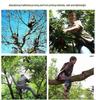 Telescopic High-Altitude Pruner & Fruit Picking Shears 