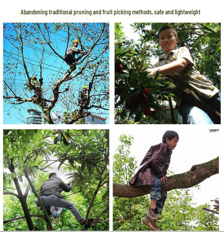 Telescopic High-Altitude Pruner & Fruit Picking Shears