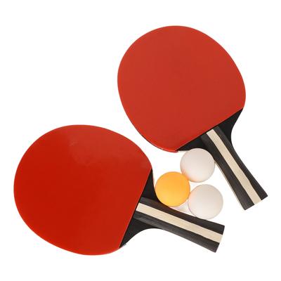REGAIL Ping Pong Paddle Set Portable Table Tennis Set With Carry Bag 2 Rackets 3 Balls